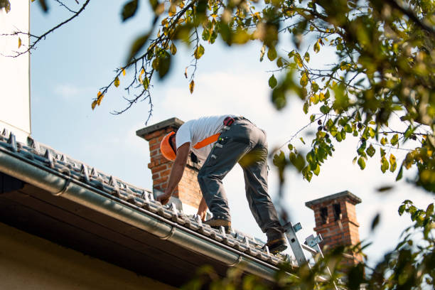 Best Gutter Installation and Roofing  in Rson, CA